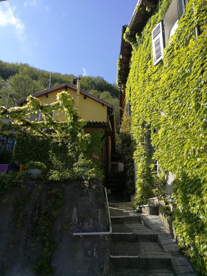 Casale Maria Mafalda Pieve di Teco Exterior photo